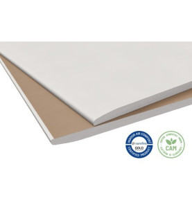 Cartongesso Knauf GKB