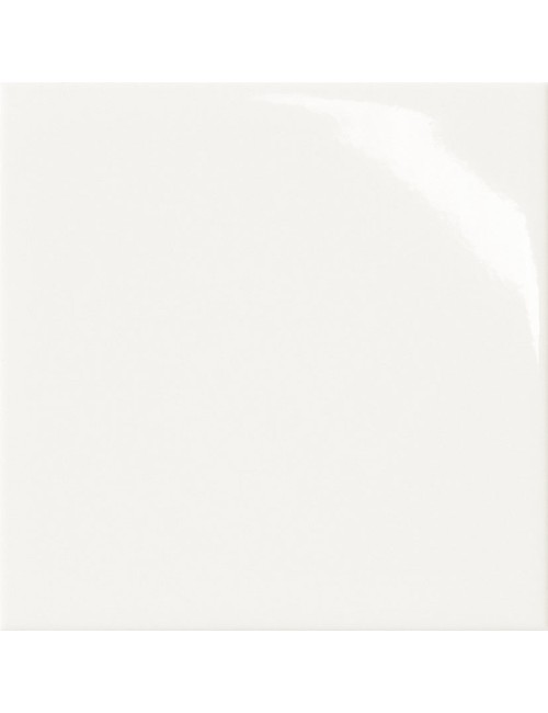 Cotto petrus trial bianco lucido 20x20 s1