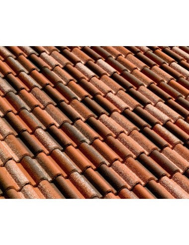 Tegola wierer  coppo di...