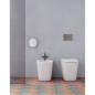 Lalita bidet cm.54x36 filo muro cleanstorm