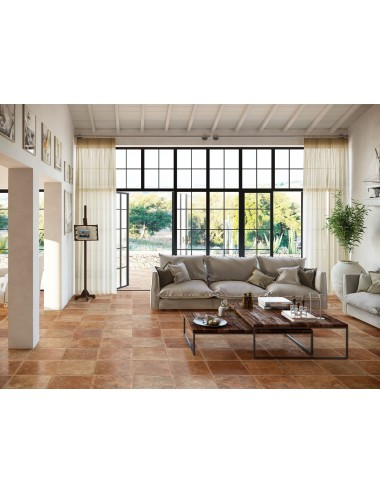 Cotto petrus cotto...