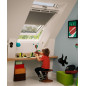 Finestra per tetti in legno naturale VELUX GGL con apertura a bilico - 55*78
