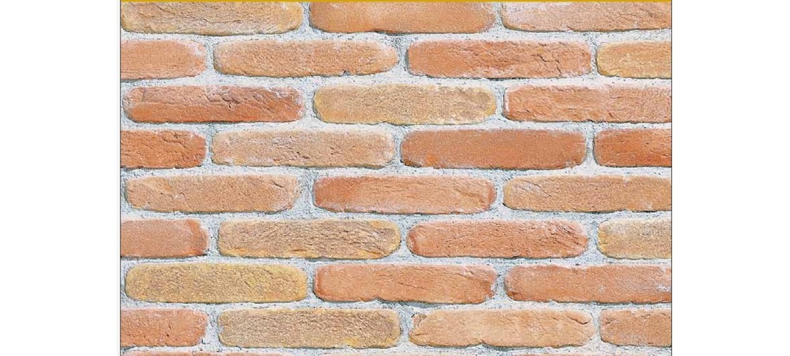 Mattoni Faccia A Vista e paramano per pareti da BigMat Imbriaco