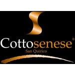 Cottosenese